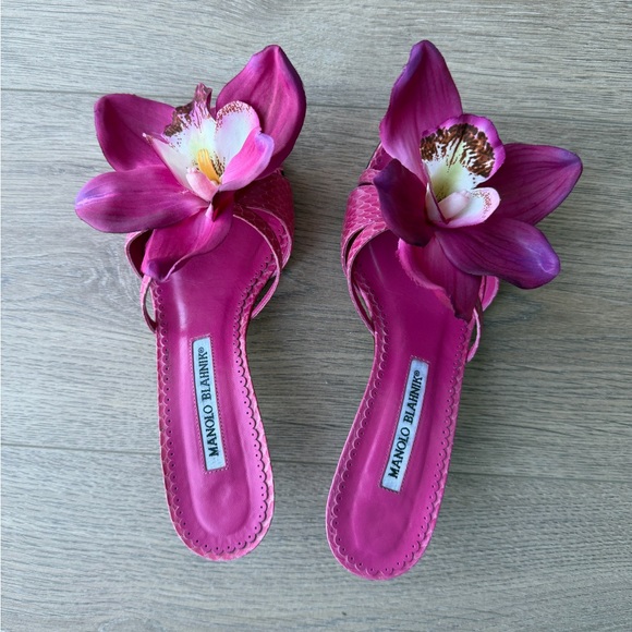 Manolo Blahnik Shoes - Manolo Blahnik Orchid Heels